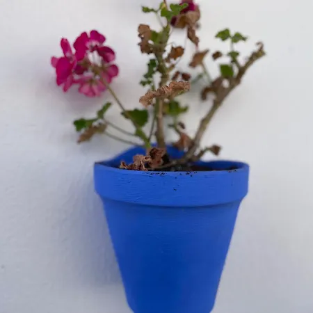 El Balcon Del Puente Con Parking Gratis Córdoba