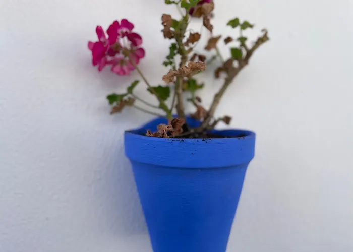 Geysotur Balcon Del Puente Con Parking Gratis Cordoba